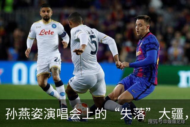 孙燕姿演唱会上的“失落”大疆，如何在万千观众中重聚归属？